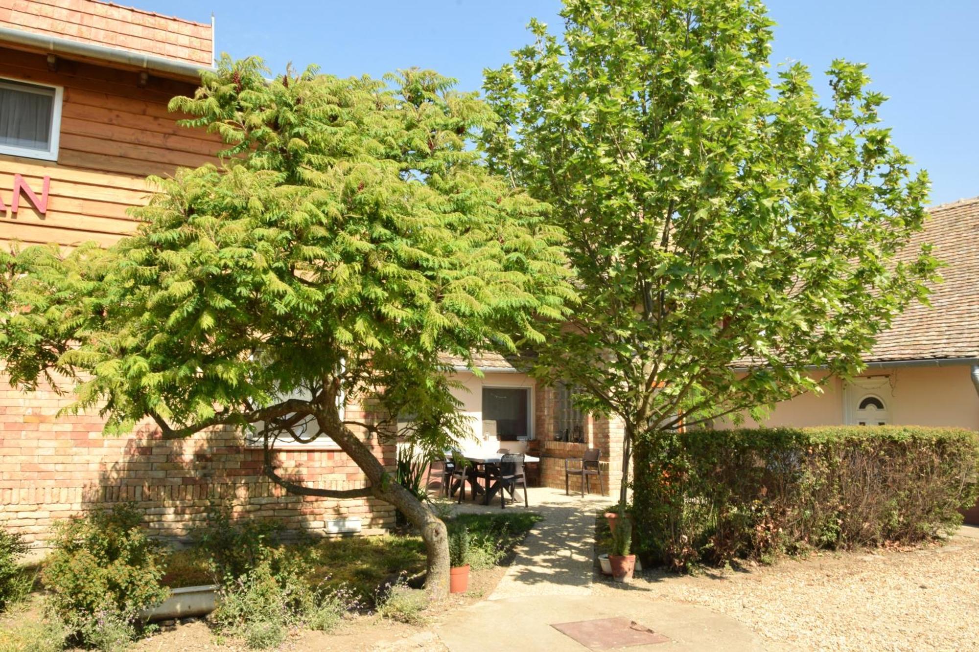 Anna Apartman Apartment Maroslele Exterior photo
